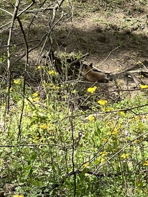 McCormick's Creek State Park by null