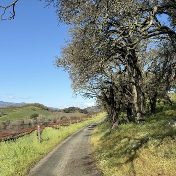 Quintessa Vineyard - Wineries Near Me - St. Helena, California Quintessa Vineyard - Wineries Near Me - St. Helena, California
