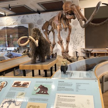 State Historical Museum - Landmarks & Historical Buildings Near Me - Des Moines, Iowa