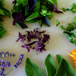 Heather Krebsbach - Holistic healthcare, combining Eastern and Western medicine