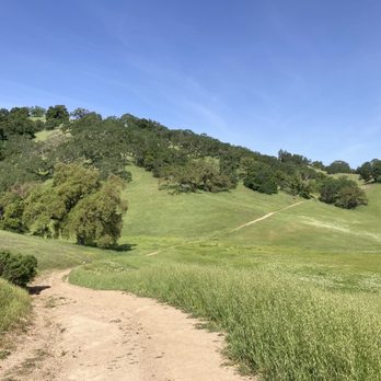 Calero County Park - Green in late Apr 2023 because of all the rain over the past few months! - Parks Near Me - San Jose, California Calero County Park - Green in late Apr 2023 because of all the rain over the past few months! - Parks Near Me - San Jose, California