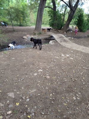 Tony Grampsas Dog Park 4471 Salvia St Golden Co Parks Mapquest