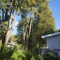 Kersting’s Tree Service
