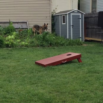 The Backyard - Mina enjoys the lush foliage. - Bars Near Me - Milwaukee, Wisconsin