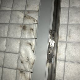 The view of the top bunk from the bottom - mold
