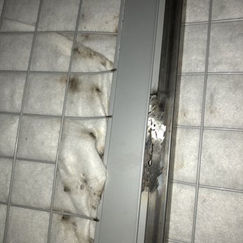 Plus - The view of the top bunk from the bottom - mold - Hostels Near Me - Florence, FI