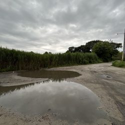 Longmeadow Fishing Area - Treacherous parking lot