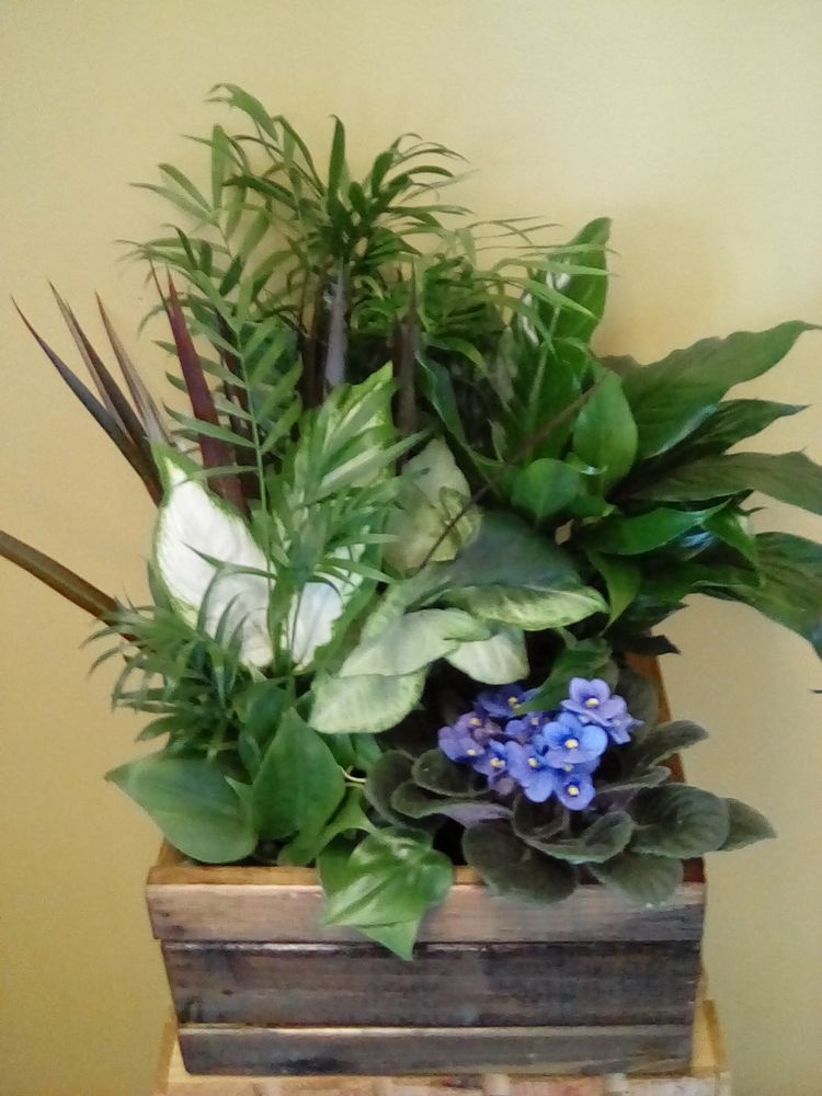 MEADOW FLOWER SHOP 2601 Cornhusker Dr, South Sioux City, Nebraska