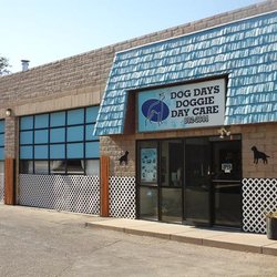 Dog Days Doggie Day Care