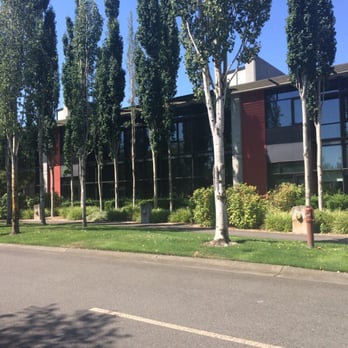 Chambers Bay - Golf Near Me - University Place, Washington
