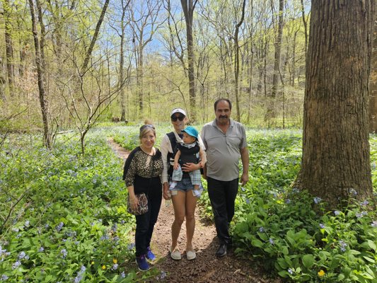 Bowman's Hill Wildflower Preserve by null