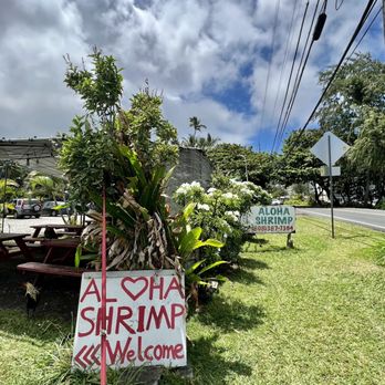 Aloha Shrimp - Sign off the side of the road - Food Trucks Near Me - Hauula, Hawaii