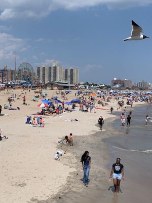 Coney Island Beach & Boardwalk by null