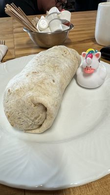 Maya Del Sol Kitchen by null