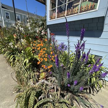 Mendocino Cafe - Cafes Near Me - Mendocino, California
