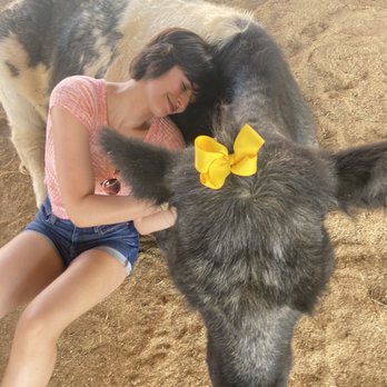 Happy Hooves - Attraction Farms Near Me - Phoenix, Arizona