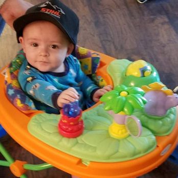 Alan's Tree Service - The 3rd generation of Alan's Tree Service - Tree Services Near Me - Bridgewater, New Jersey Alan's Tree Service - The 3rd generation of Alan's Tree Service - Tree Services Near Me - Bridgewater, New Jersey