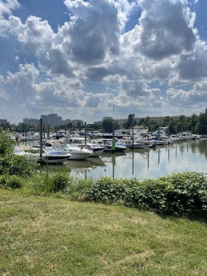 Adventures Unbound: Columbia Island Marina by null