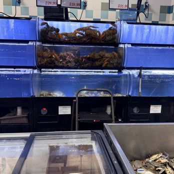 H Mart - Doraville - Lobster - Grocery Near Me - Doraville, Georgia