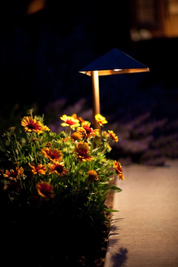 Slide of Blooming Desert Design + Build