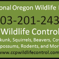 CCP Wildlife Control LLC