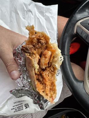 Poblano Pepper by null