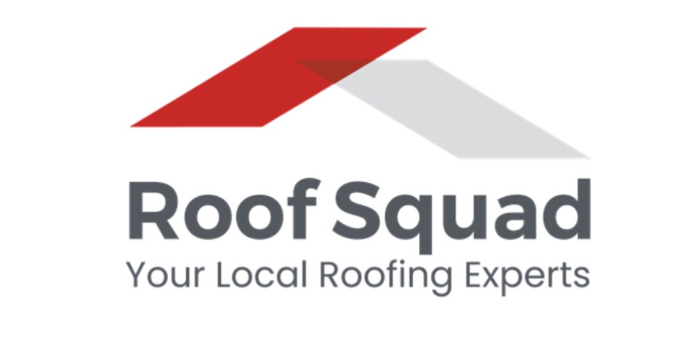 Slide of Roof Squad