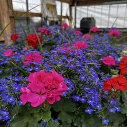 Janousek Florist & Greenhouse