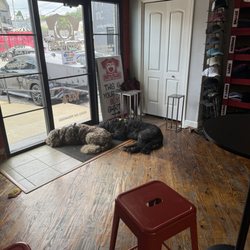 Doggos