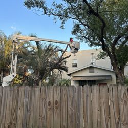 A.T.& Trees - Precision tree trimming by AT&trees