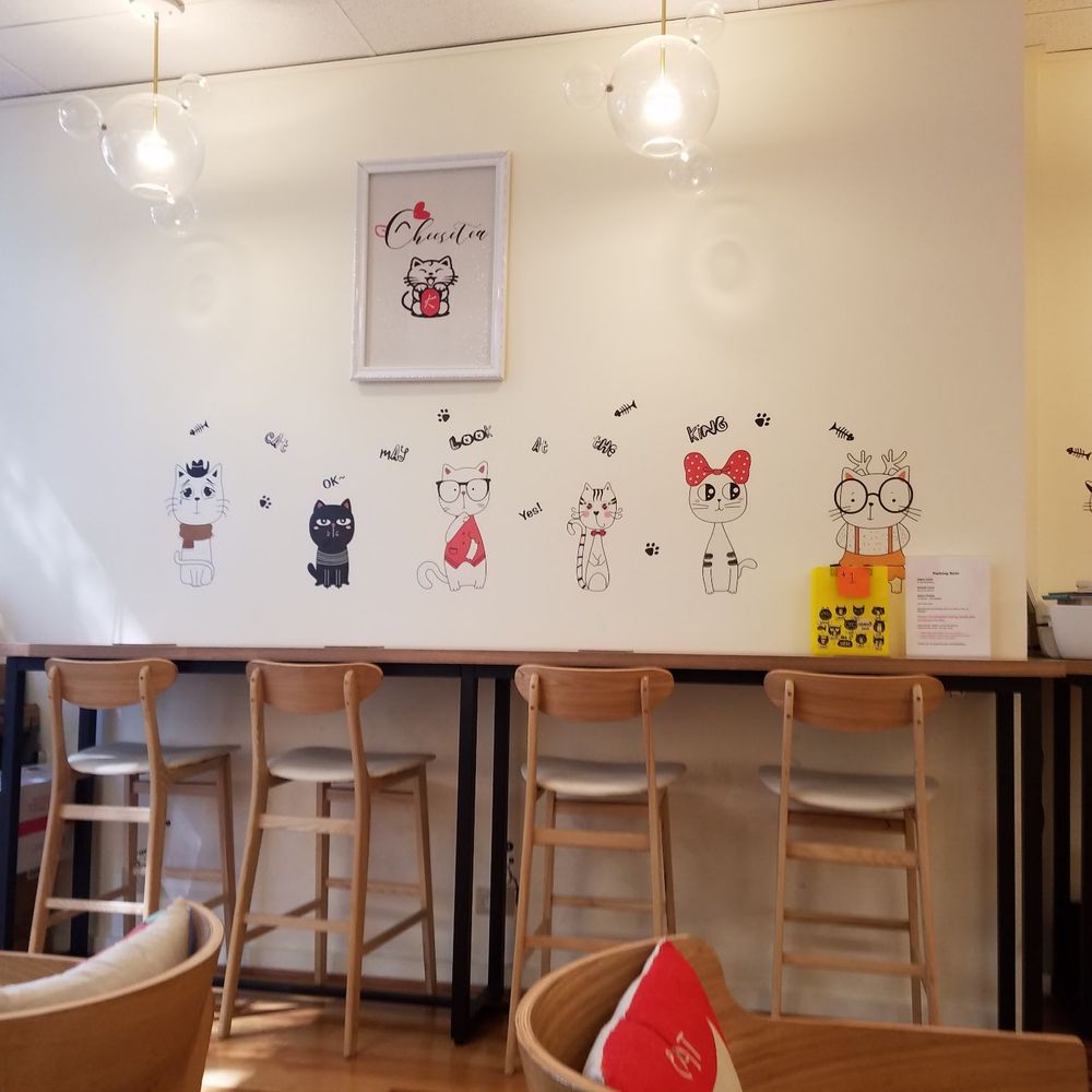 Drincup Cafe - Inside - Bubble Tea Near Me - Honolulu, Hawaii Drincup Cafe - Inside - Bubble Tea Near Me - Honolulu, Hawaii