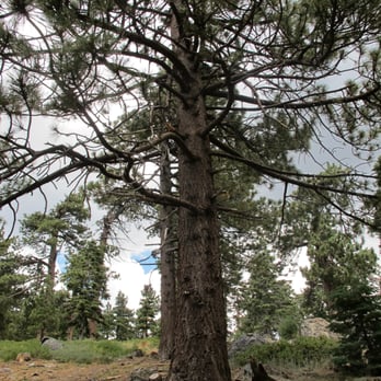 Snow Summit - Ski Resorts Near Me - Big Bear Lake, California Snow Summit - Ski Resorts Near Me - Big Bear Lake, California