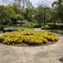 Photo of Velasco Village Park