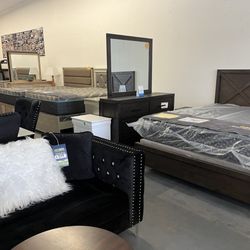 Chihuahua Furniture