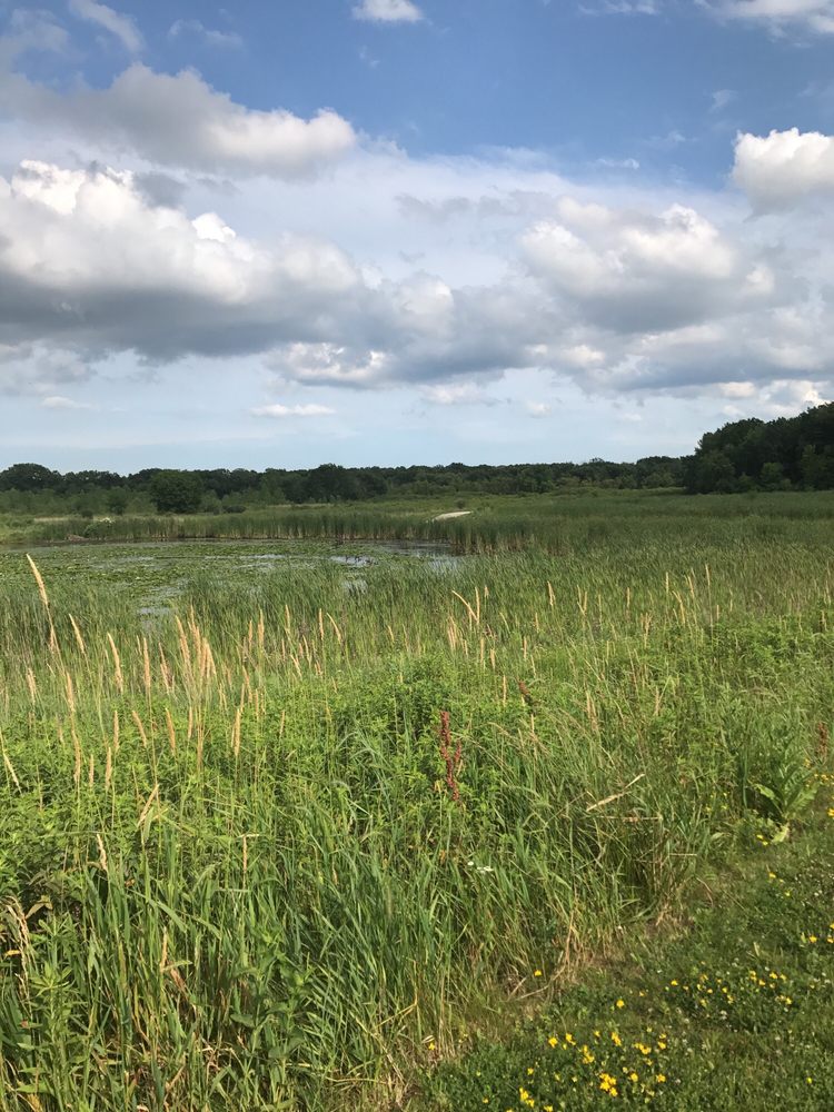 Lake County Forest Preserve Des Plaines River Trail Logo