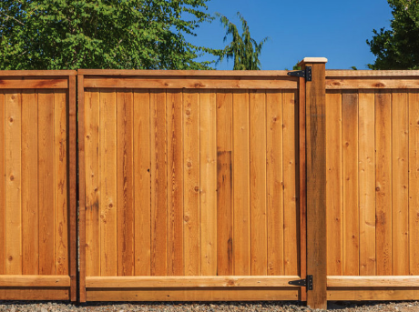 Slide of Jesus's RISE