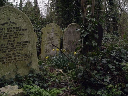 Abney Park Cemetery Trust by null