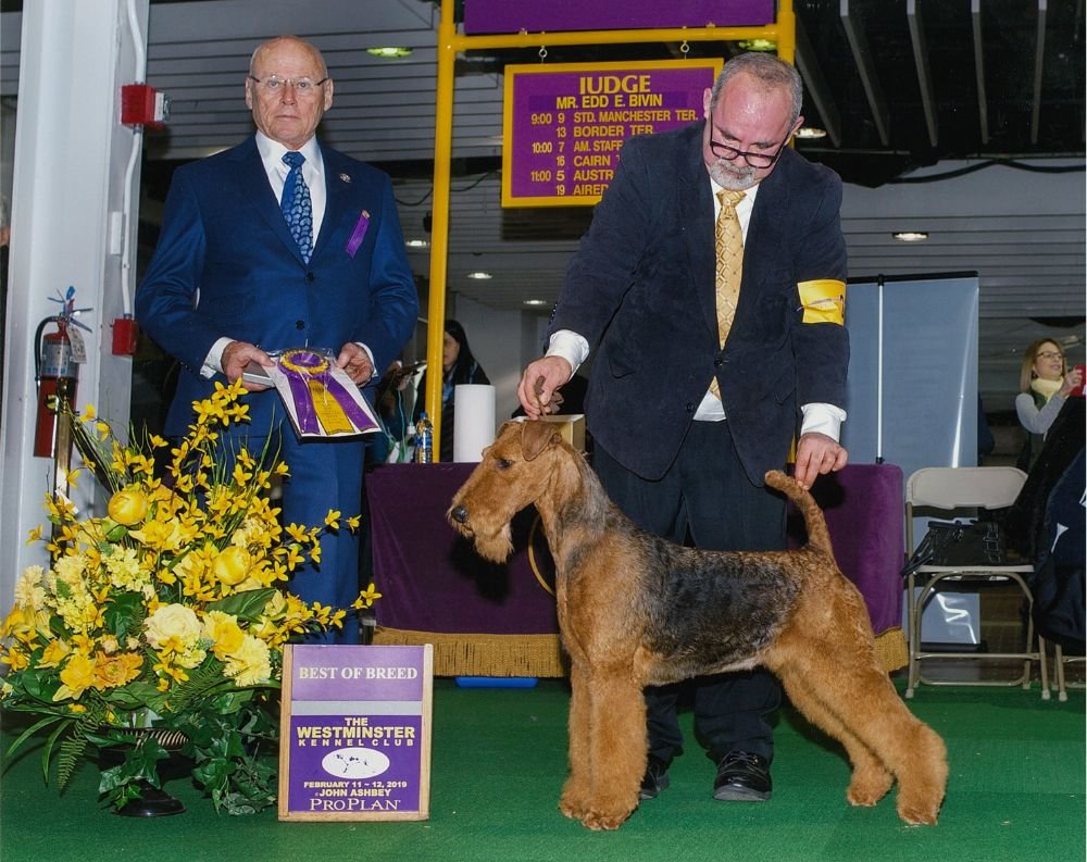 Lynaire Kennels & Crematory Image