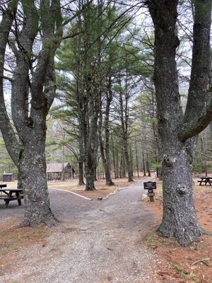 Bradbury Mountain State Park by null