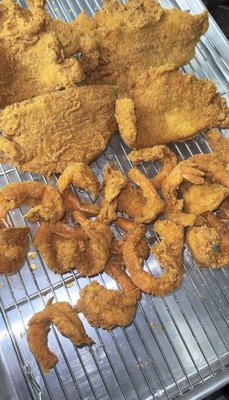 Cajun Window by null