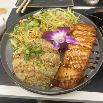 Temak House Florida - Temaki Salmon full menu - Sushi Bars Near Me - Deerfield Beach, Florida