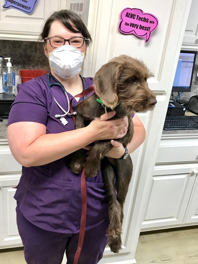 AZALEA LAKES VETERINARY CLINIC Updated September 2024 18 Photos