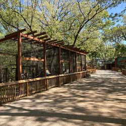 World Bird Sanctuary - Avian Avenue