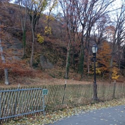 Fort Tryon Park Dog Run - This is the always unoccupied dog run at Fort Tryon nearest to Broadway and 190th st.