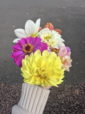 Solebury Orchards by null