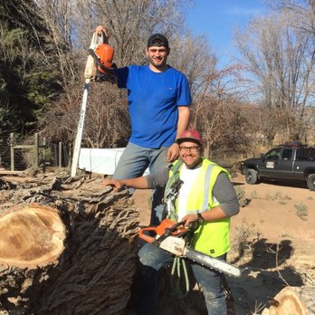 American Tree Services - Certified Arborists at your service! - Tree Services Near Me