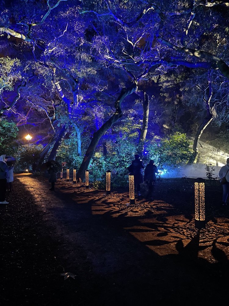 ENCHANTED FOREST OF LIGHT AT DESCANSO GARDENS 2557 Photos & 290