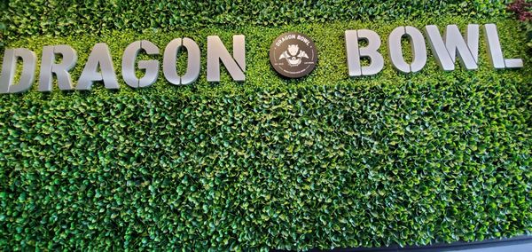 Dragon Bowl Korean Fried Chicken & Wings - Las Vegas by null