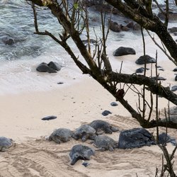 Dynamic Tour Maui