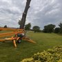 Cordell tree Service